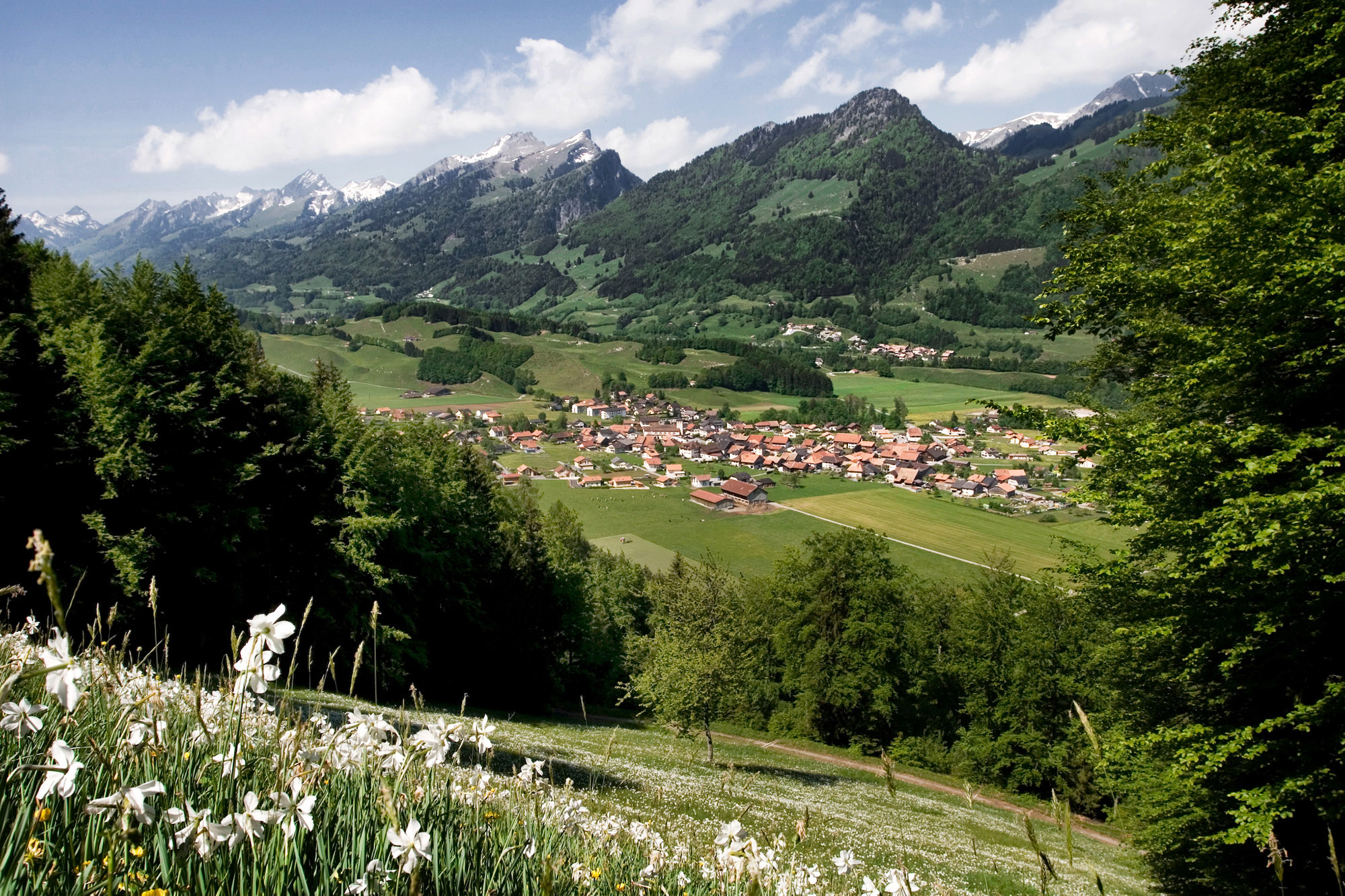 Grandvillard Phytopharma